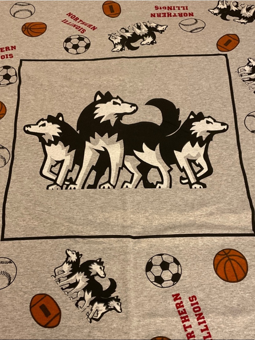 Northern Illinois Huskies Graphic Throw Blanket or Wall Hanging